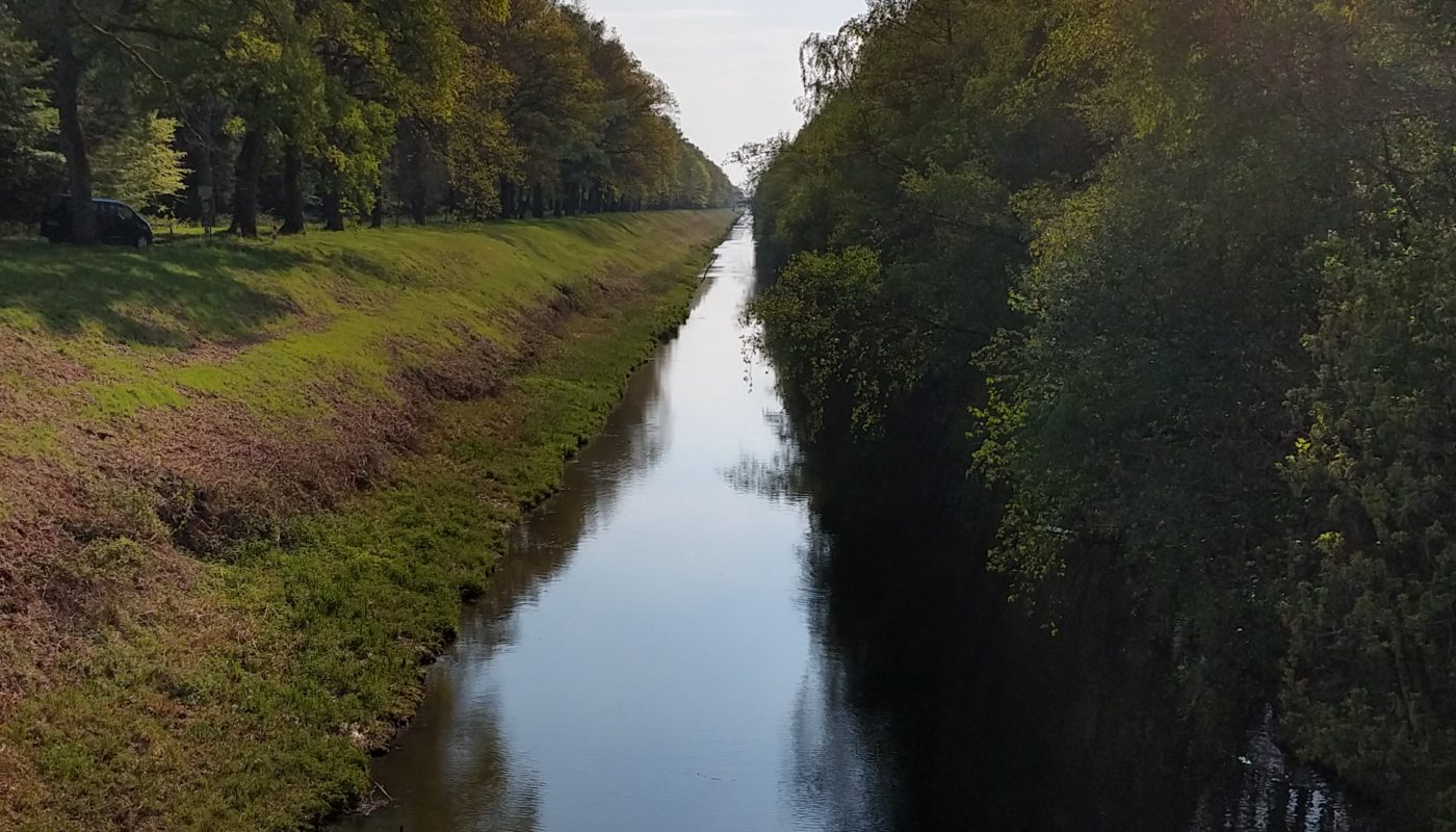 Wie mit dem Lineal gezogen